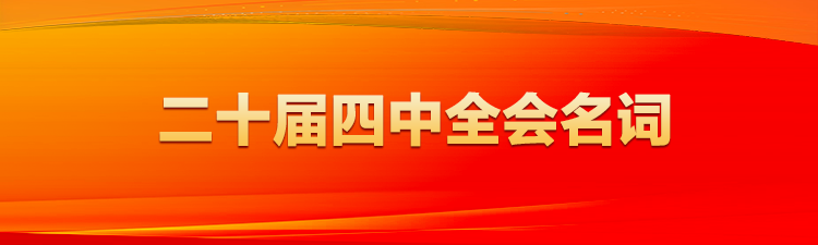 二十届四中全会系列名词